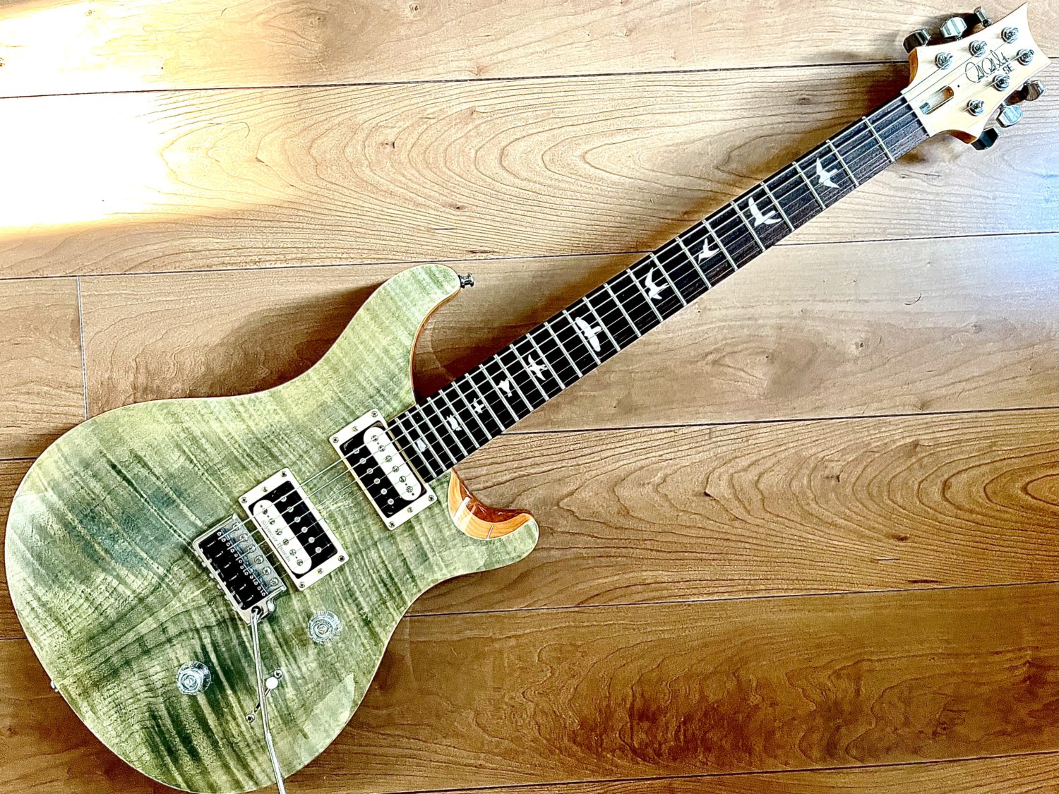 PRS SE custom24 ポールリードスミス トランパスグリーン - 器材